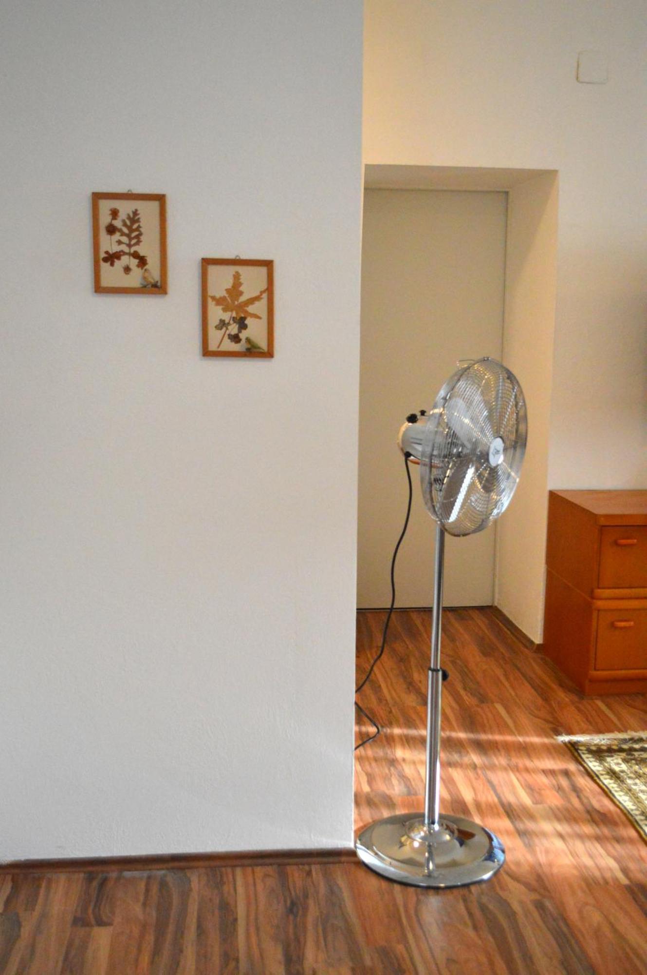 Gemuetliche Ferienwohnung - Prein An Der Rax 외부 사진